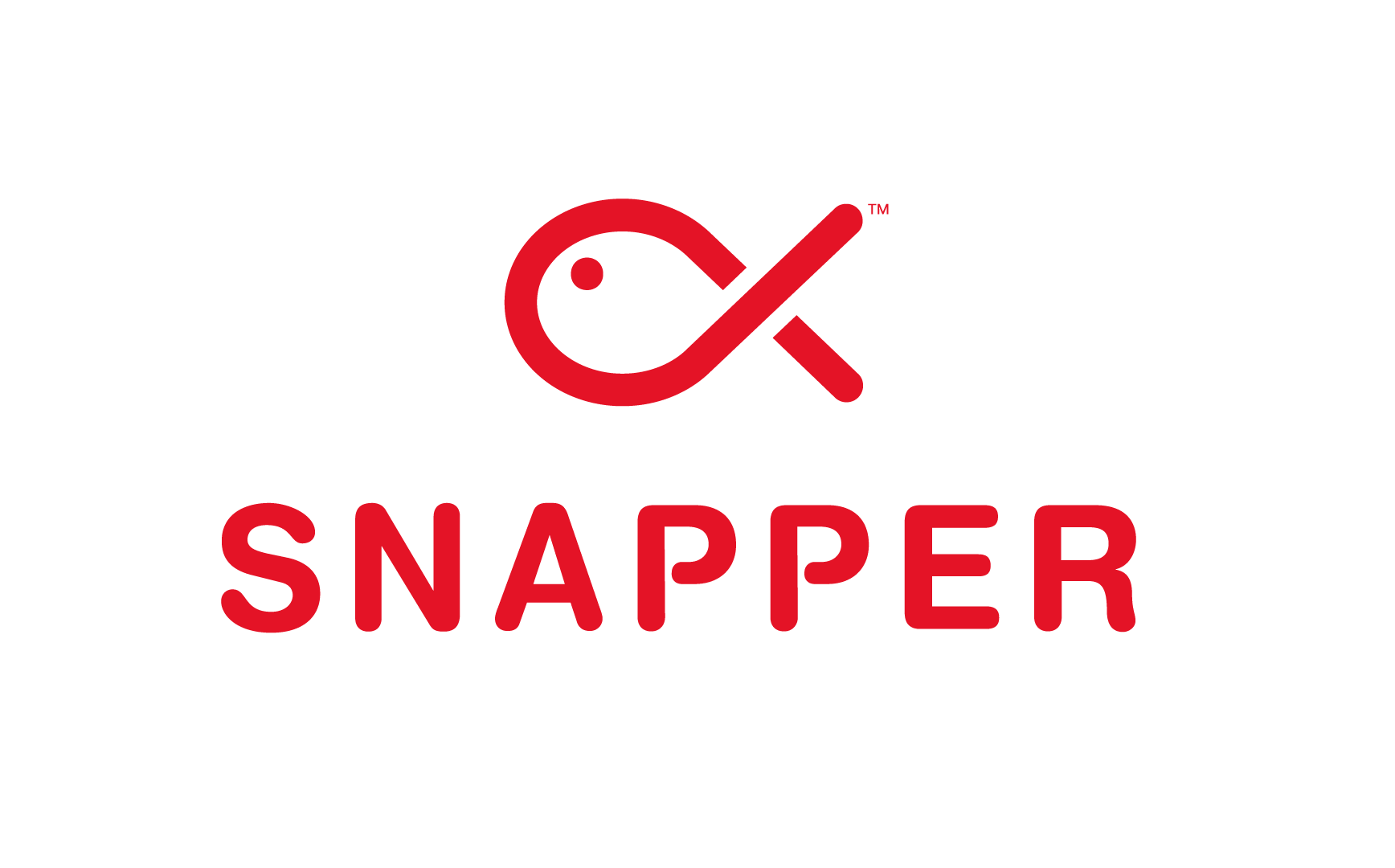 Snapper Services Ltd